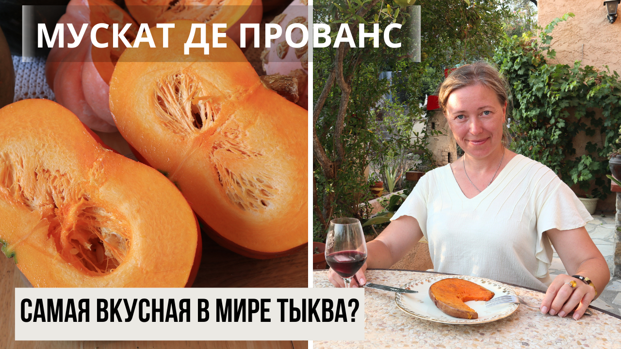 Франция vs Латвия / Дегустация тыквы Мускат де Прованс в Провансе