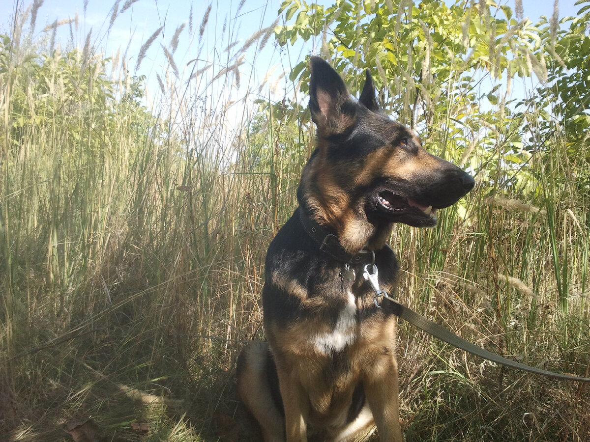 Фото автора