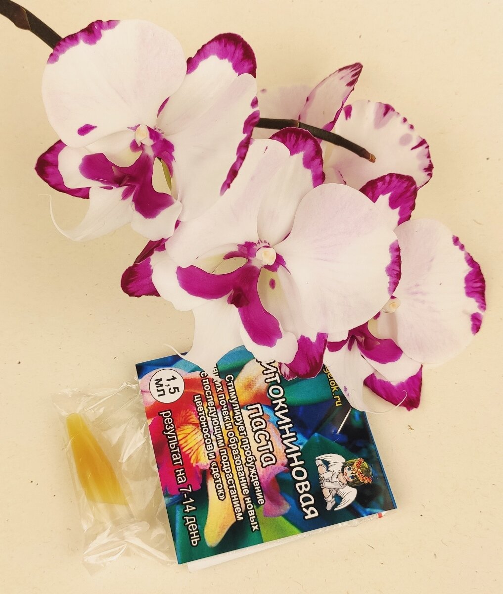 Цитокининовая паста содержит фитогормон, который отвечает за деление клеток орхидеи