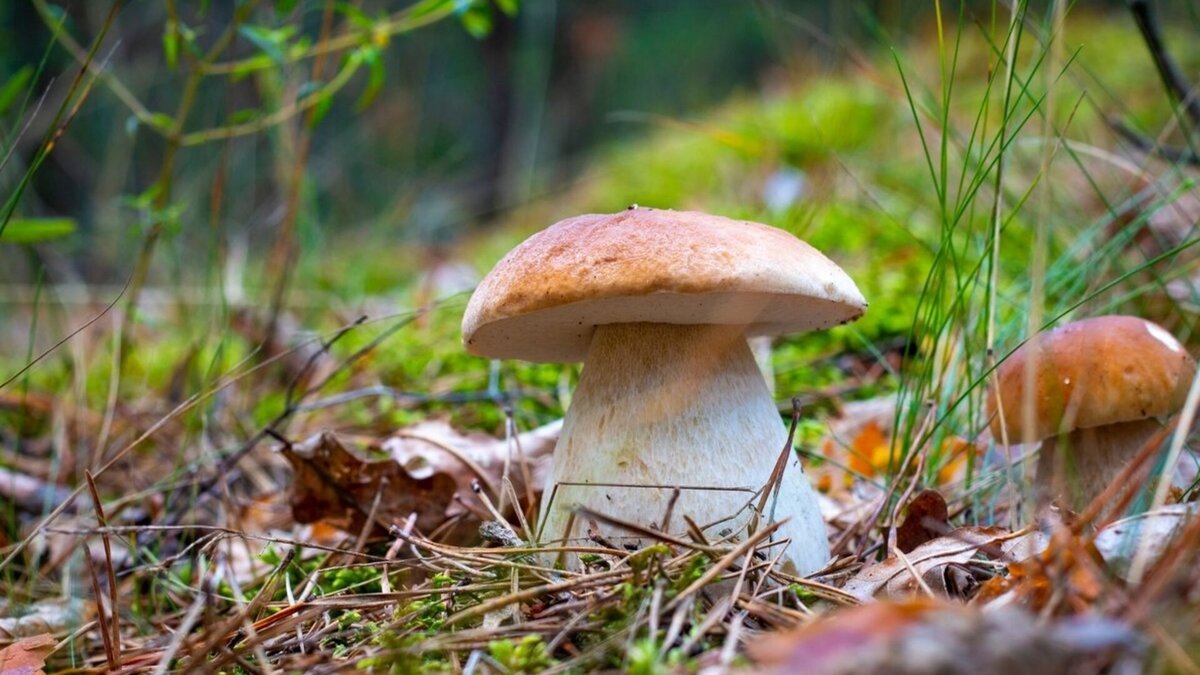   romvo/Shutterstock.com