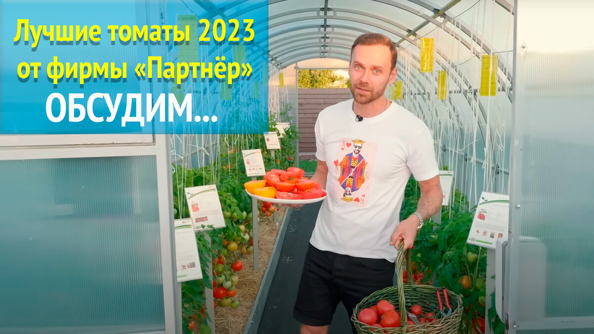 Лучшие томаты 2023 от фирмы «Партнёр»! Обсудим… | Томаты. Все о томатах от  посева до урожая! | Дзен
