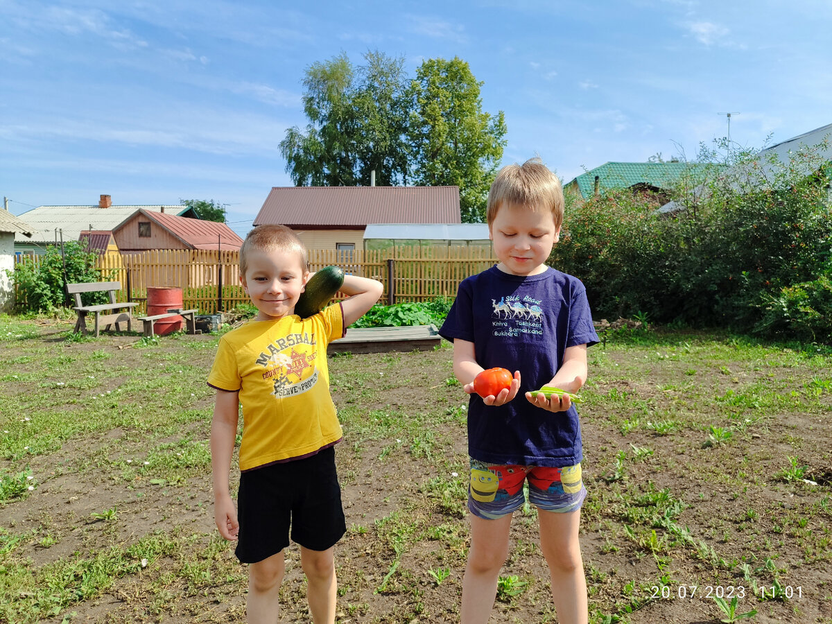 Паша, Вадя, летний урожай. И я что-то не поняла... вроде, вот только позавчера эту фотографию сделала. А уже сентябрь. Как так-то? Кто спёр у меня два месяца? 