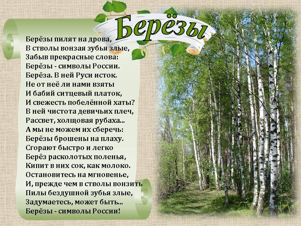 Люблю березку русскую. Стихотворение береза. Береза символ России. Стих про березу.