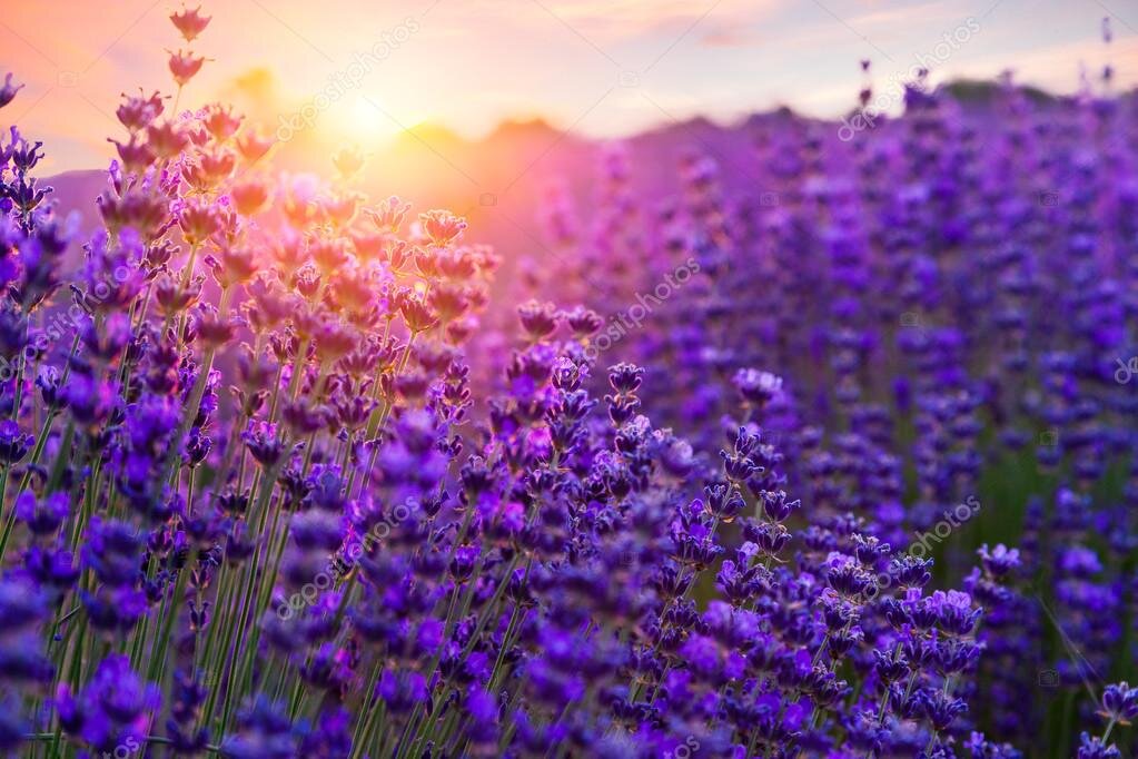 Источник:яндекс картинки