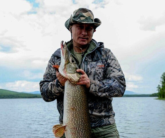 Фото для оформления заметки с https://yandex.ru/images