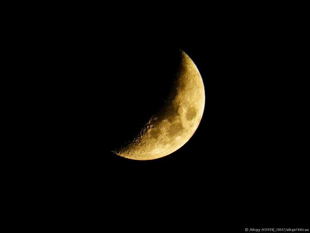 Любимая модель втянула живот

