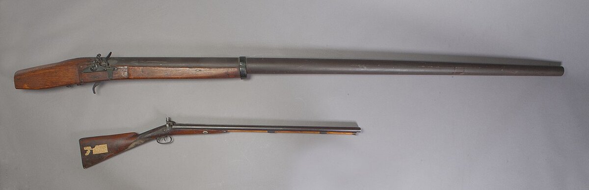 Огромная уточница в сравнении с обычной двустволкой