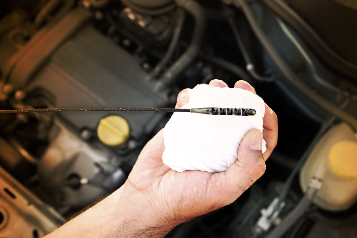 Изображение / Сервис Яндекс картинки