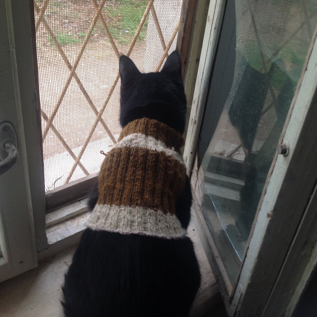 Что там нового на улице?