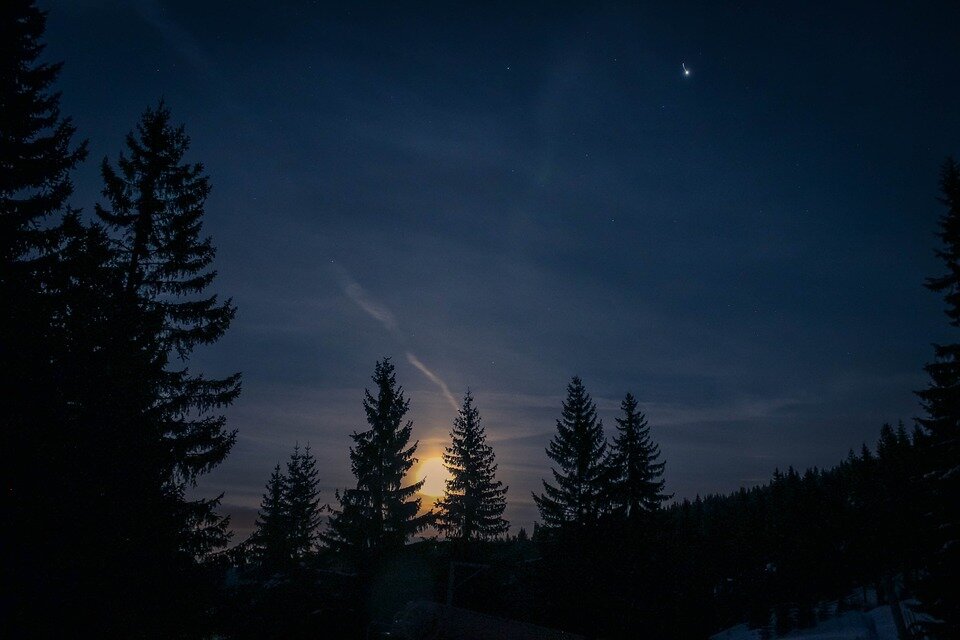 https://pixabay.com/ru/