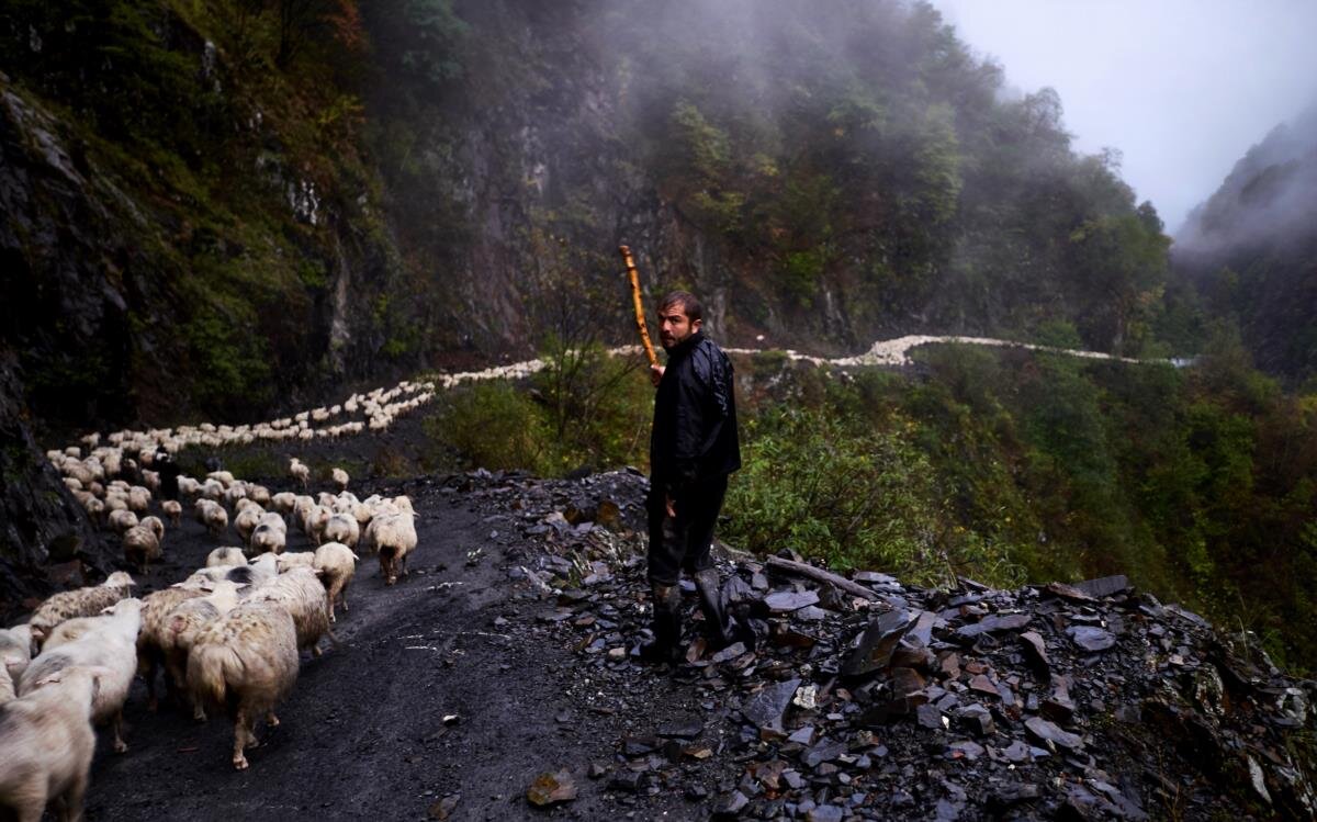 Высоко в горах гонит пастух овец. Видит, что к нему направляется машина.