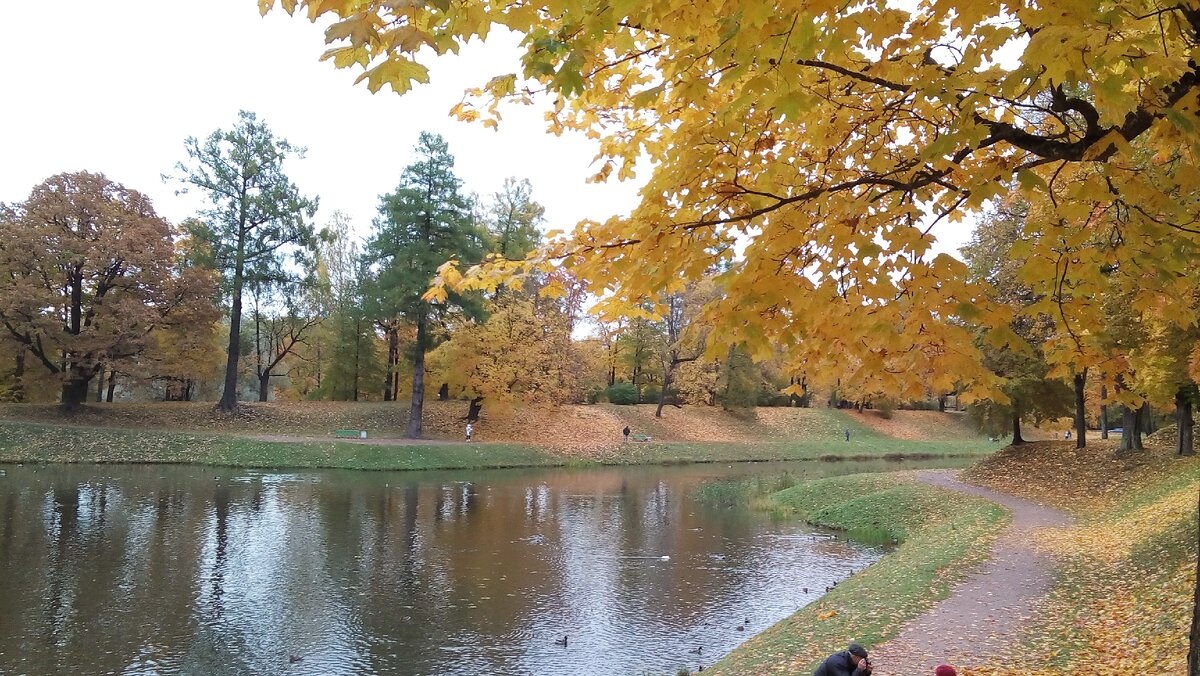 Карпин пруд.