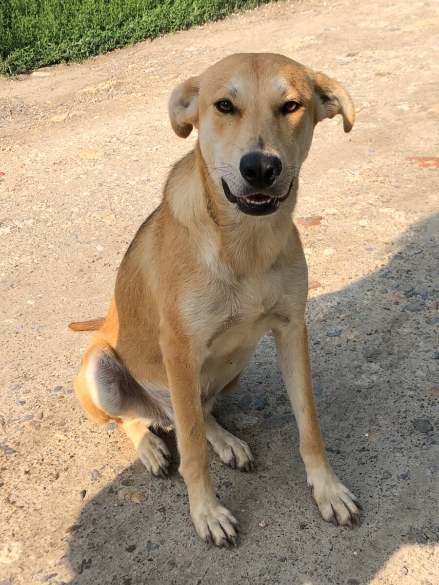 Доблестная многодетная мать - одиночка. 