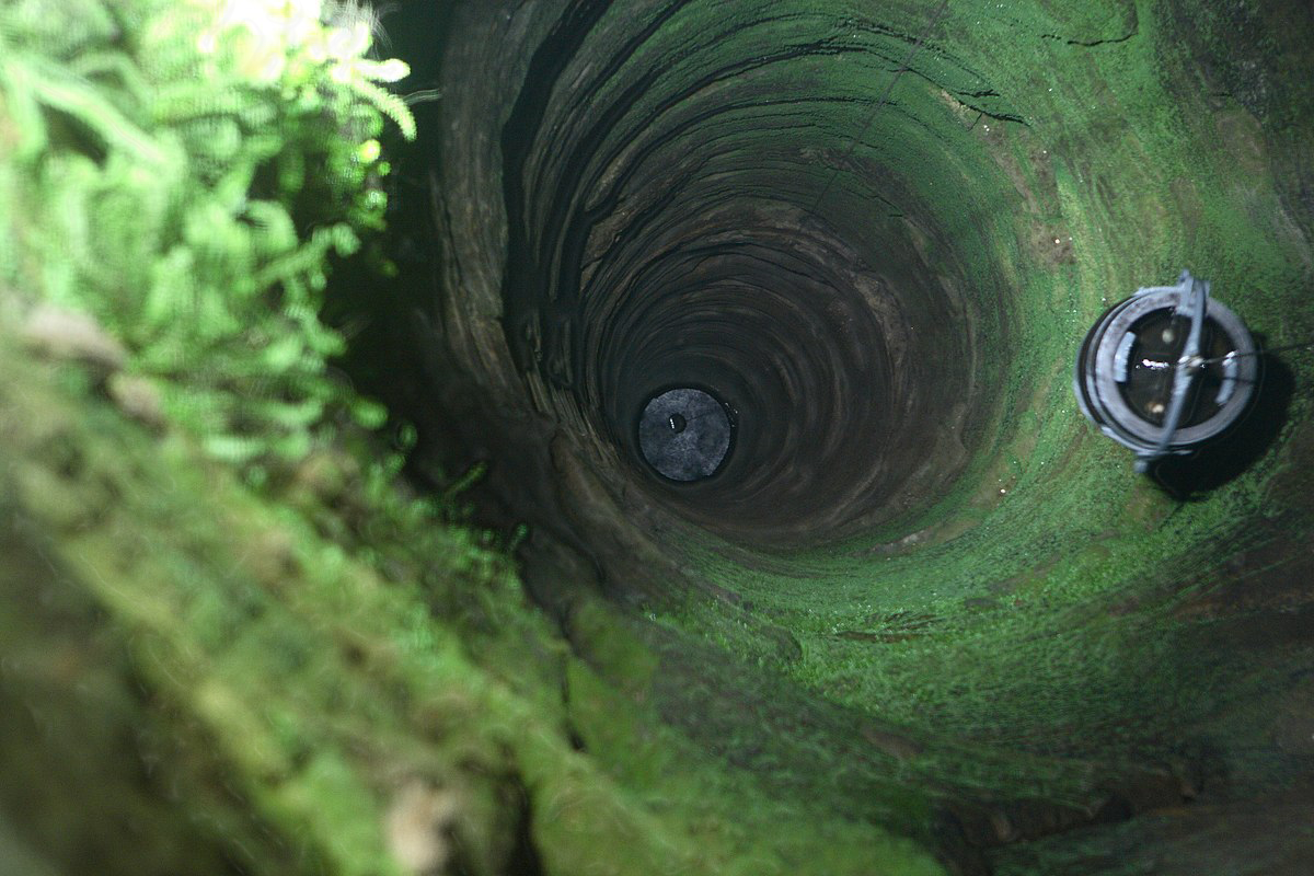 Фото взято из Яндекс Картинки