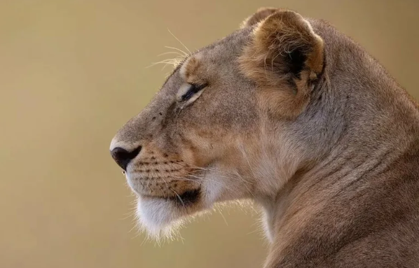 фото 7fon.org/Обои/480x800/4933