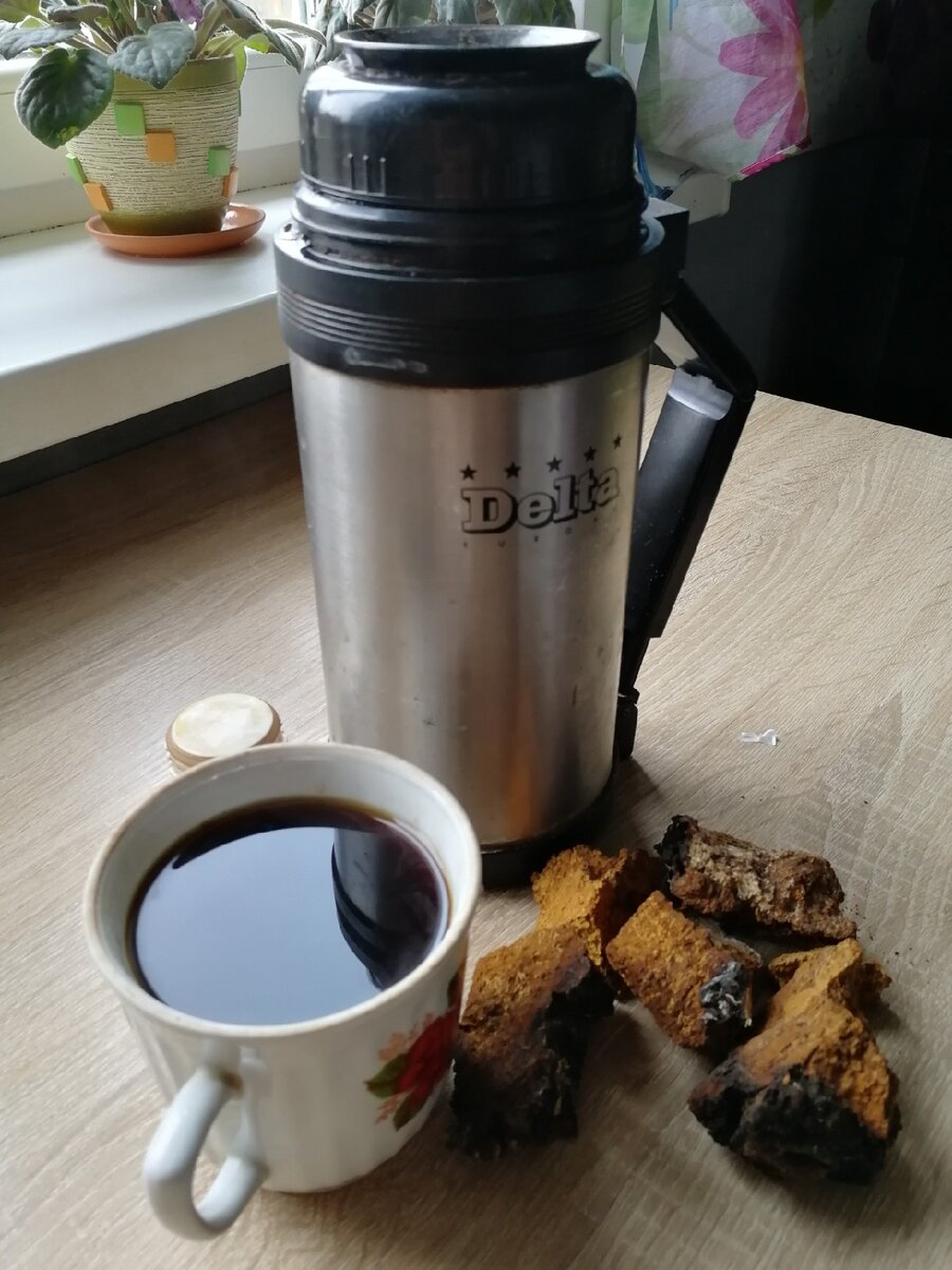 Рис. 2 Заваренная чага