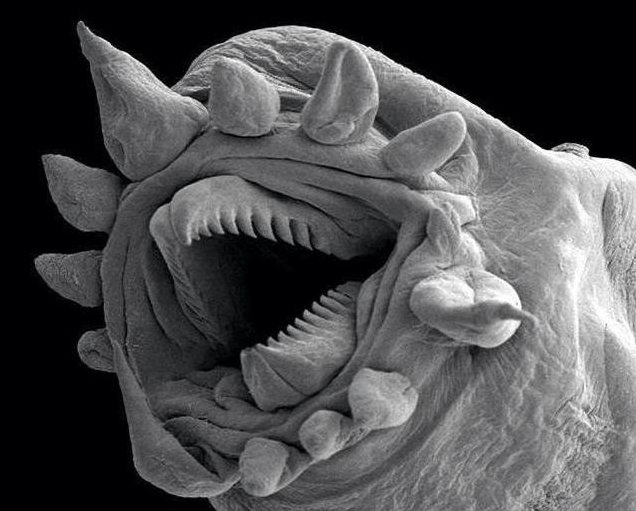 ха-ха-ха! Мне плевать на всех, я выживу везде )