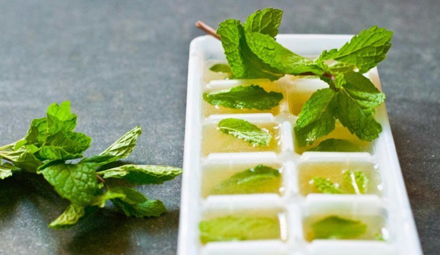 Мята на зиму в морозилке. Мята на зиму заморозка. Мята в морозилке на зиму. Заморозить мяту на зиму. Мята на зиму в морозилке.