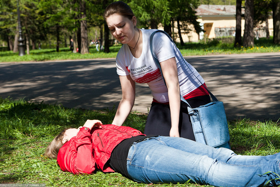 Яндекс Картинки