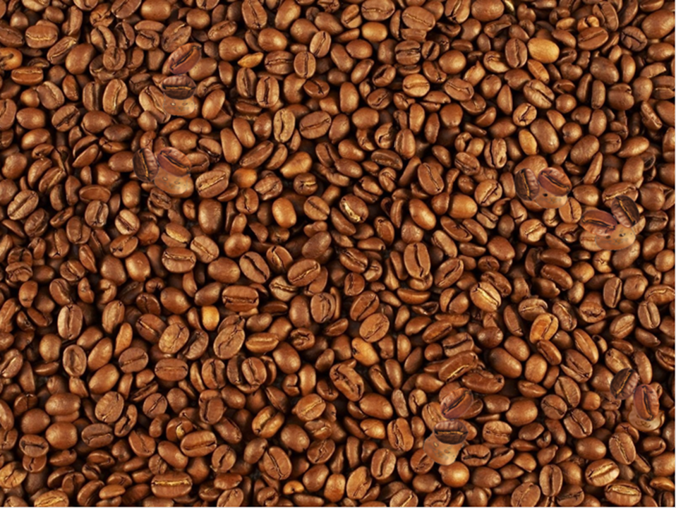  Найдите 5 мордочек котов среди кофейных зерен