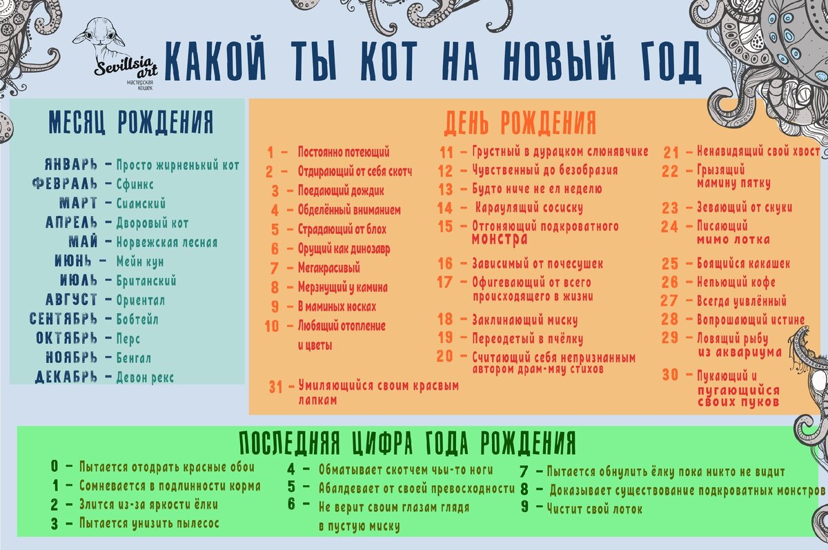 Игра: какой ты кот на новый год 