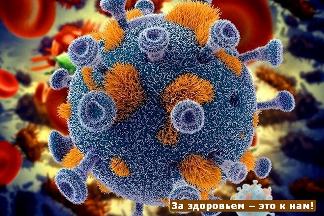 Вирус иммунодефицита человека под микроскопом