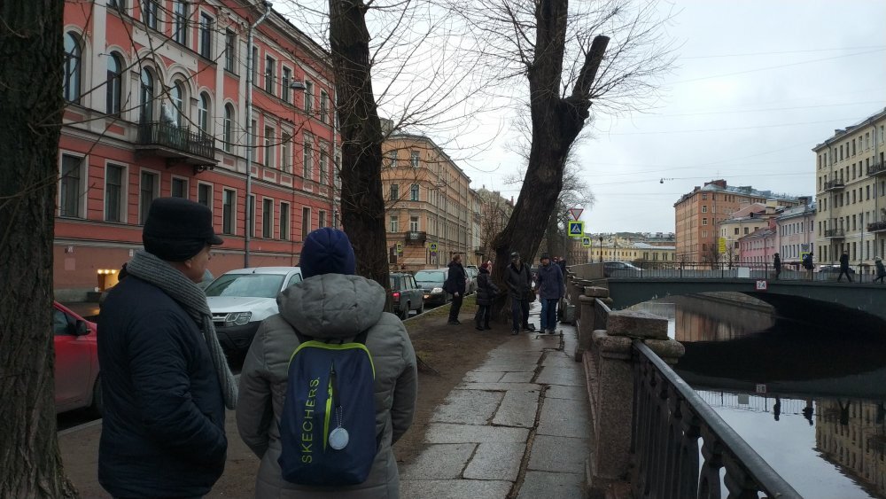 Деревья на канале Грибоедова. Фото из ВК-группы "Красивый Петербург" 