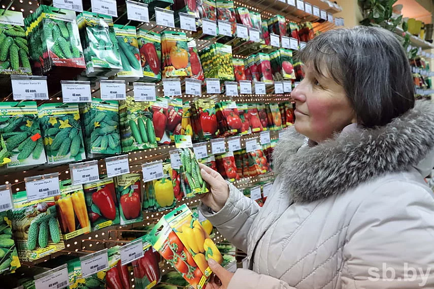 фото из Яндекса. Картинки