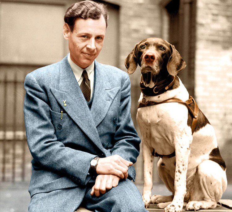 Герои: собака-военнопленная английский пойнтер Джуди и её последний хозяин Фрэнк Уильямс 