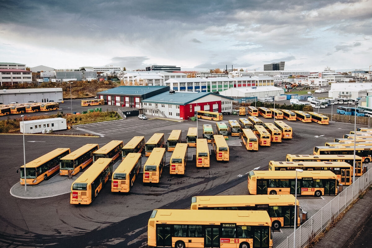Автобусы в Рейкьявике (Фото: Scandinaviastandard.com)