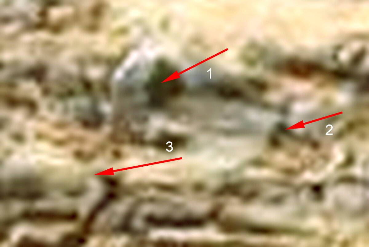 Фото из открытых источников.