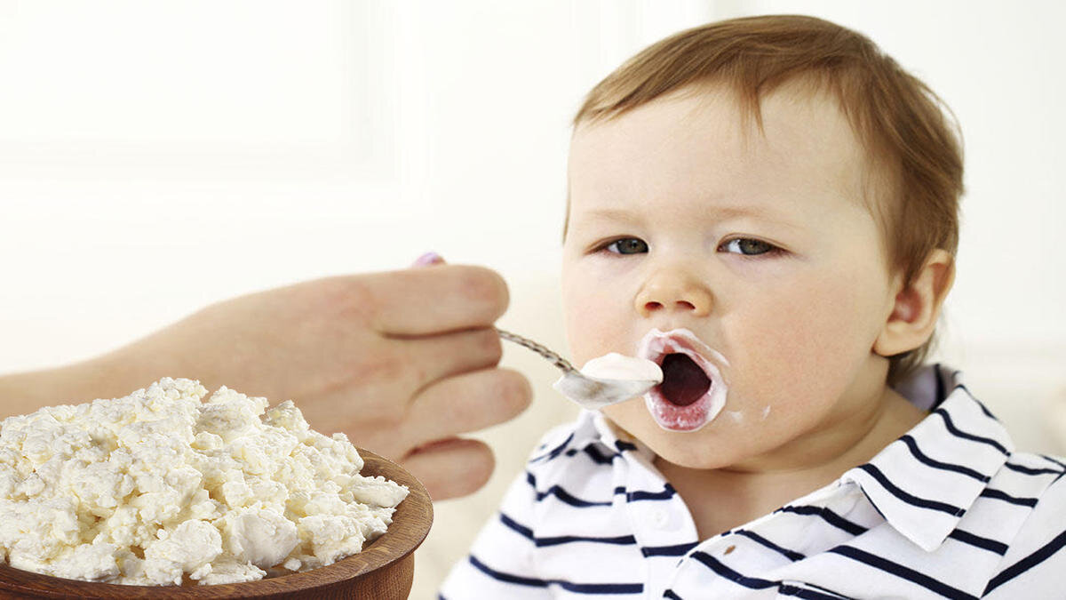 Фото из сети интернет