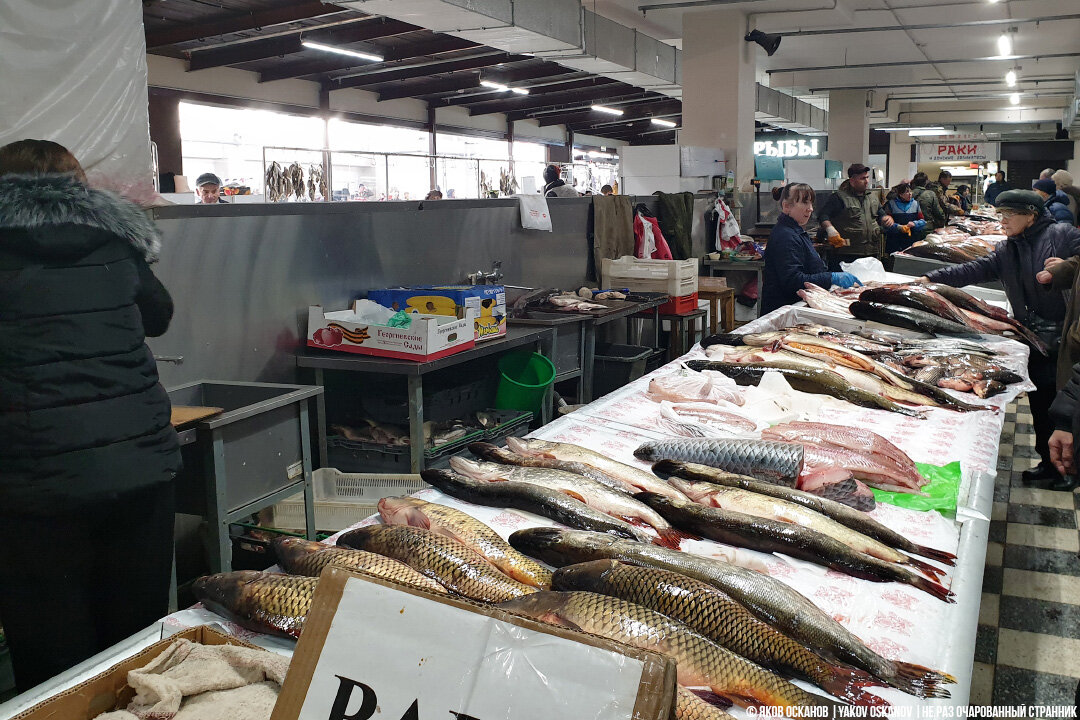 Рыбные ряды Ростовского рынка: сходил за угощением для иногородних гостей. Показываю ??