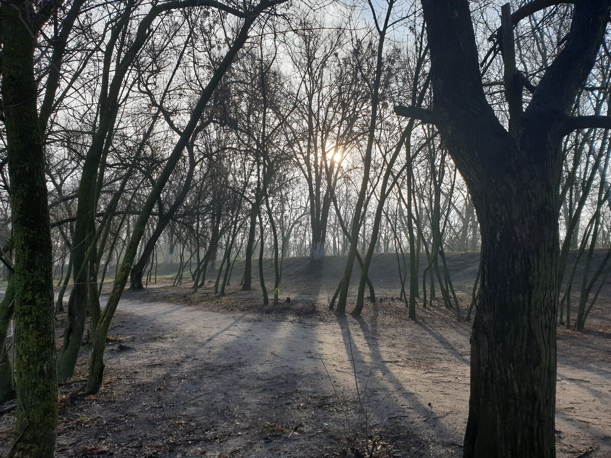 Солнышко светит и греет