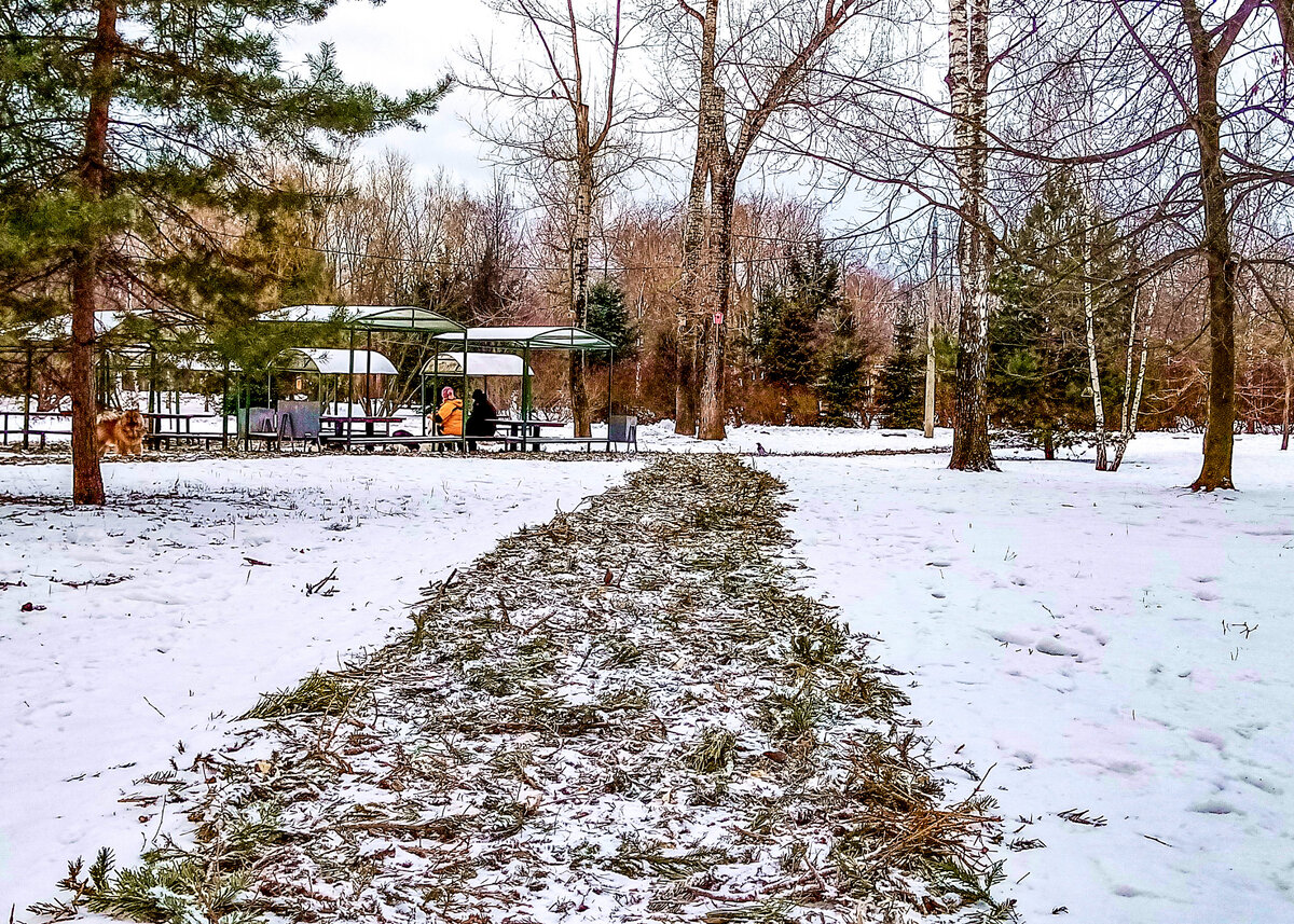 -2