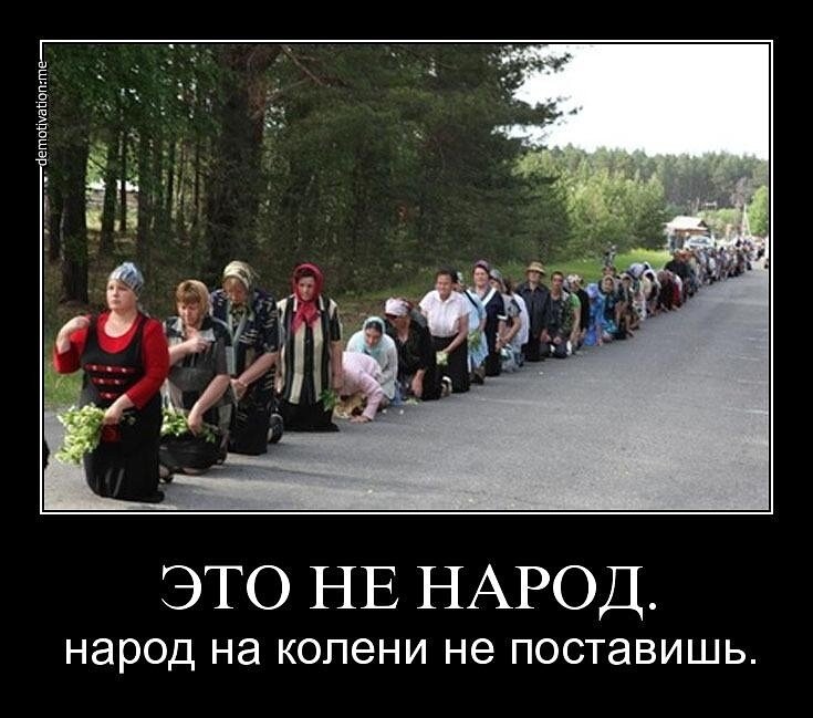 фото из открытого источника.