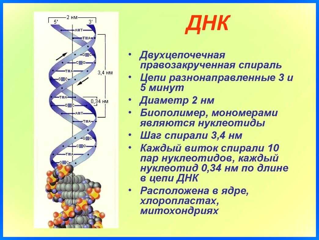 Мы должны признать очевидное: понимают лишь те, кто хочет понять.