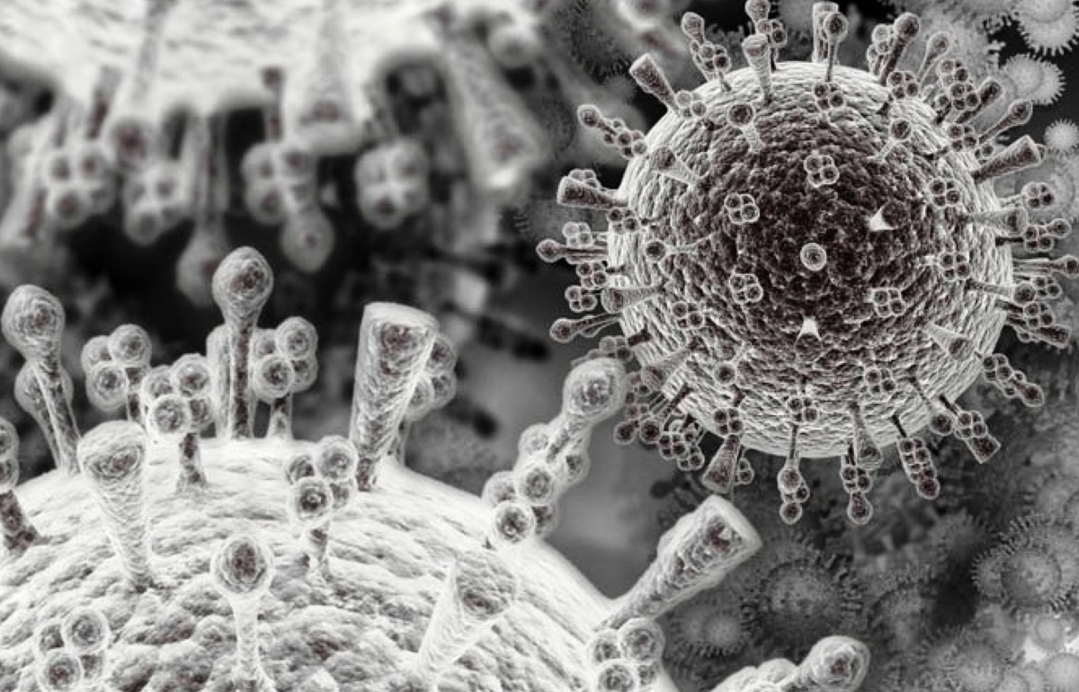 Вирус гриппа под. Вирус гриппа под микроскопом. Вирус коронавирус под микроскопом. Коронавирус электронный микроскоп. Вирус коронавирус микроскоп.