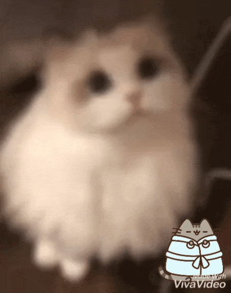 Я красивая?