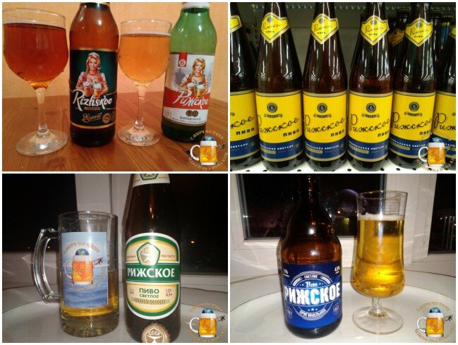 Пробую 5 марок современного "Рижского Пива".