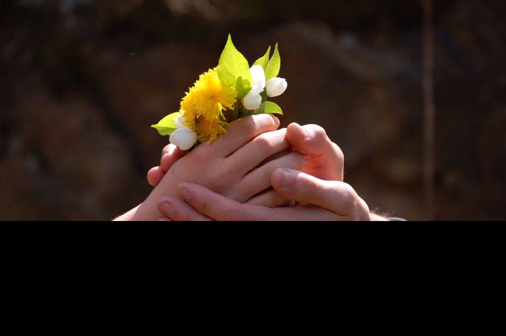 яндекс фото