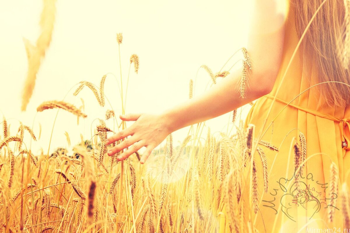 ЗАБОТА О СЕБЕ                                                                                                                                                                                 
Один день в неделю женщина должна побыть на пшеничных зёрнах. Они будут укреплять ваше чувство вкуса, сделают сильными десны и зубы и помогут предотвратить проблемы желудочно-кишечного тракта и боли в пояснице. У большинства женщин, которые начали делать это, даже менопауза не наступает до самой смерти.

