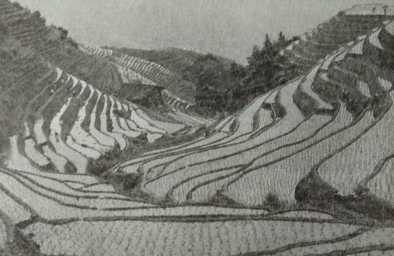      Создать карусель   
 Добавьте описание 