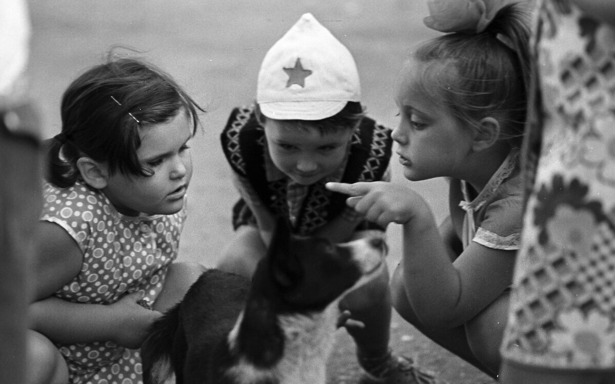 Источник: cdn1.img.sputnik-ossetia.ru