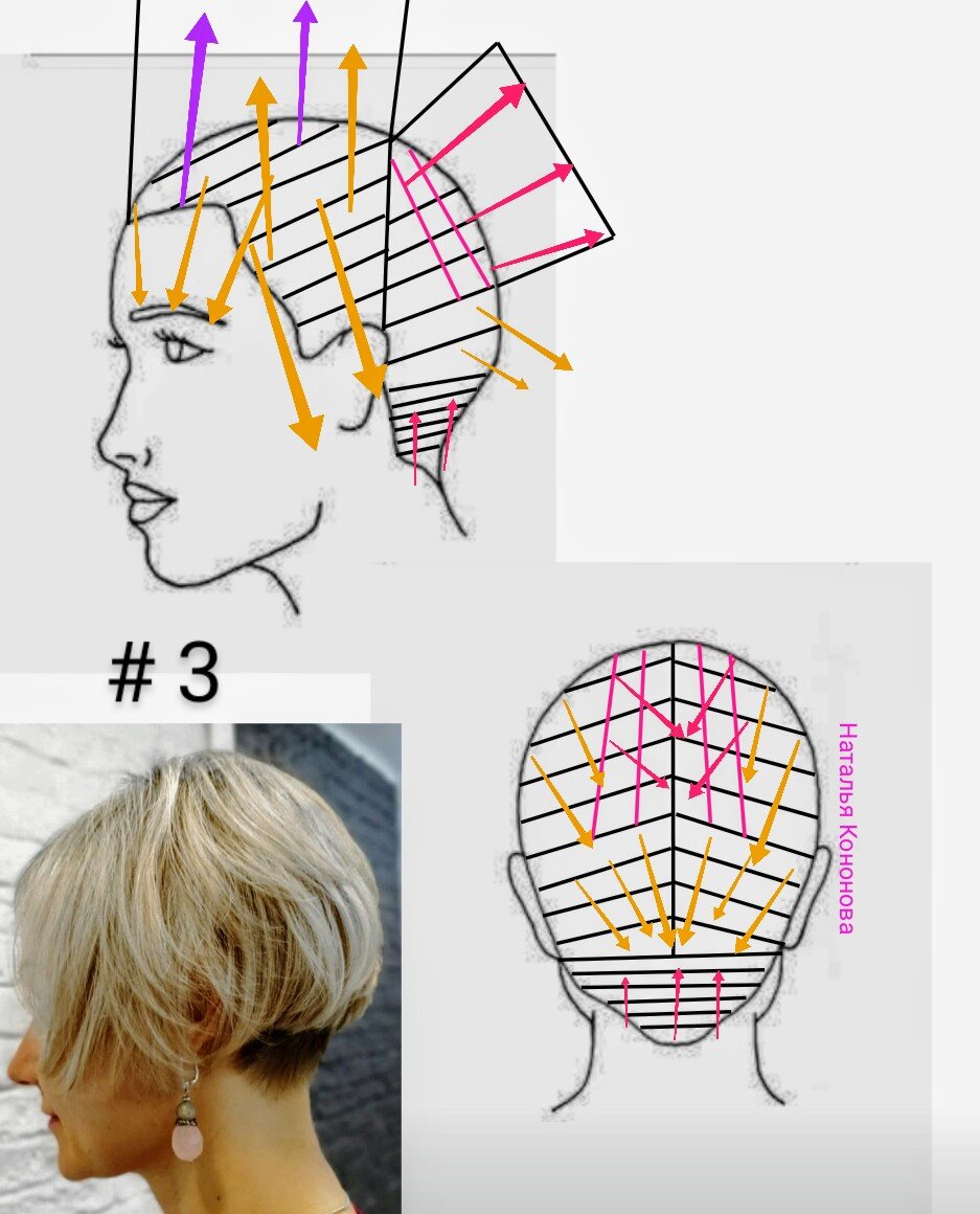 Индивидуальная градуировка. Градуированное каре на короткие волосы техника стрижки. Градуированный Боб схема стрижки. Градуированное каре технология выполнения. Стрижка градуированное каре схема выполнения.
