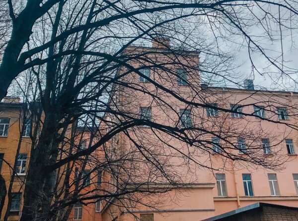 Фото: СПбГЭТУ «ЛЭТИ» | Instagram