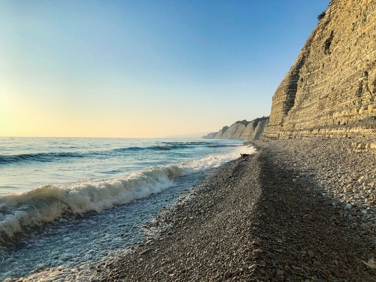 Самое чистое побережье черного моря. Сосновка черное море. Дикие пляжи черного моря. Море дикий пляж. Дикие пляжи Черноморского побережья.