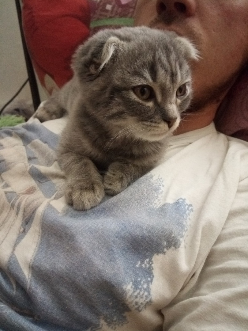 Это мы балдеем