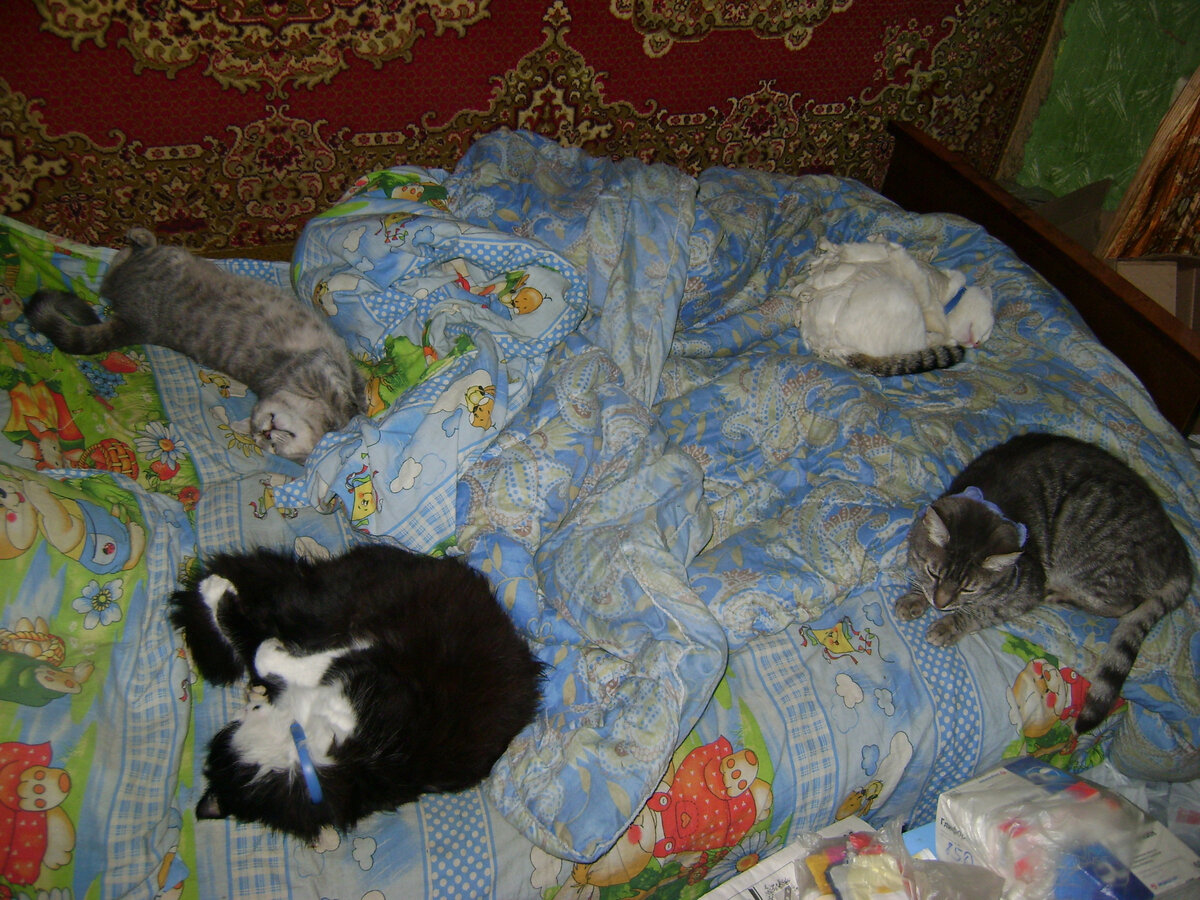 Очень часто моя постель выглядит как-то так.