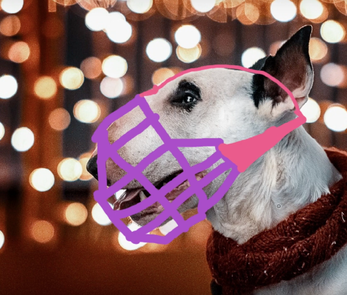 фрагмент фотографии Veresk.photo и нарисованный "идеальный" намордник